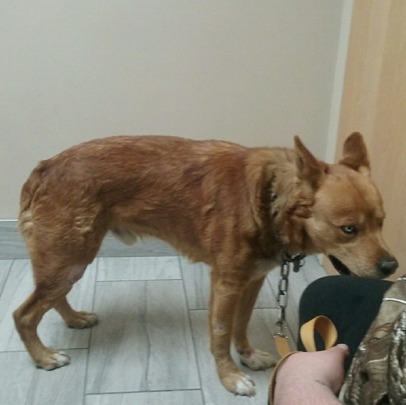 Meet your Posher, Grace i make and sell jewelry - Picture 7 of 8